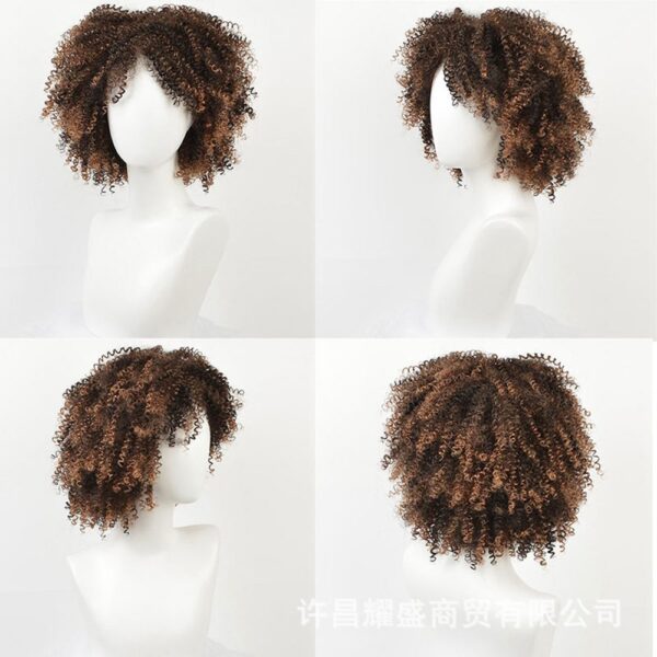 Afro kinky curly wig