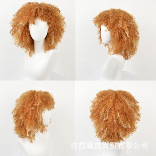 Afro kinky curly wig